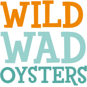 Wild Wad Oysters