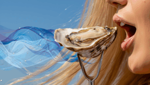 de smaak van wadoesters